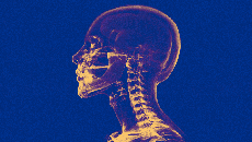 Scope3’s latest launch is as much about the economics of ad tech as it is about AI