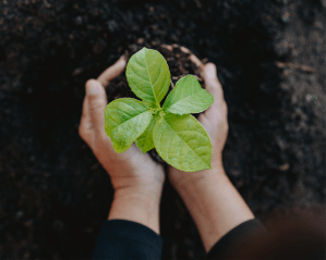 Earth Day 2025: Creating Authentic Action with Affiliate Partnerships